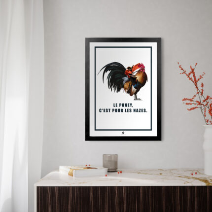 affiche les Éditions de l'oeil