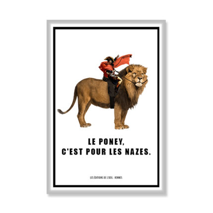 Napolion Magnet