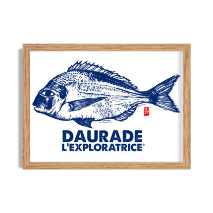 daurade l exploratrice mlle roze