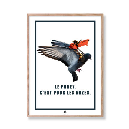 frogs rennes affiche editions de l'oeil napigeon
