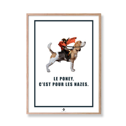 frogs rennes affiche editions de l'oeil napobeagle