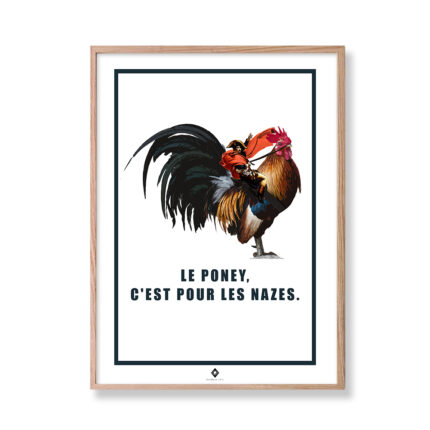 frogs rennes affiche editions de l'oeil napocoq