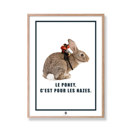 frogs rennes affiche editions de l'oeil napolapin