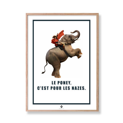 frogs rennes affiche editions de l'oeil napolephan
