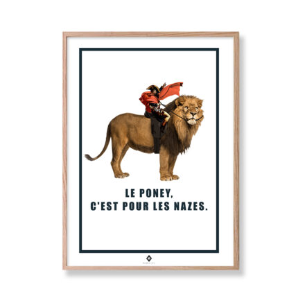 frogs rennes affiche editions de l'oeil napolion oeil