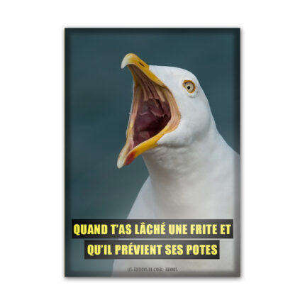 magnet frite la mort vient du ciel 2